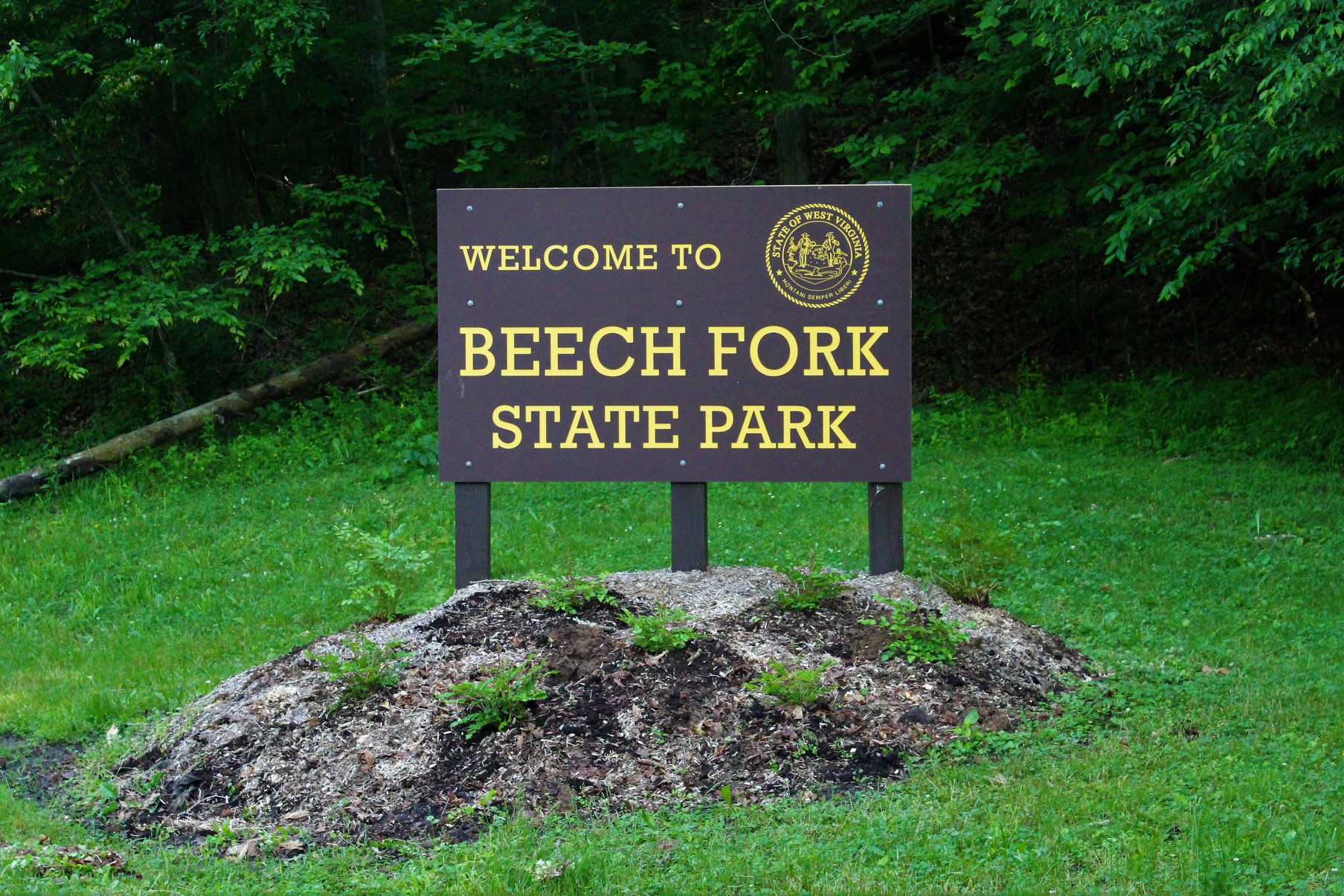 beech fork state park
